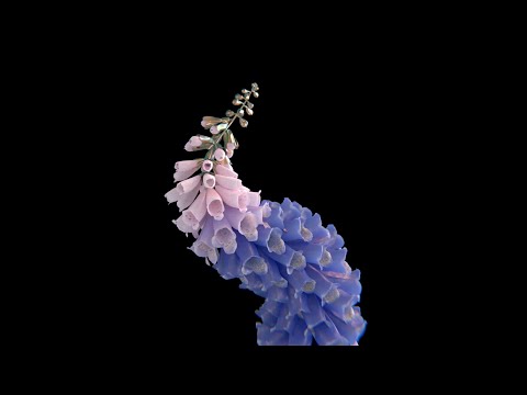 Flume feat. Little Dragon - Take a Chance